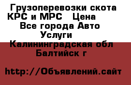 Грузоперевозки скота КРС и МРС › Цена ­ 45 - Все города Авто » Услуги   . Калининградская обл.,Балтийск г.